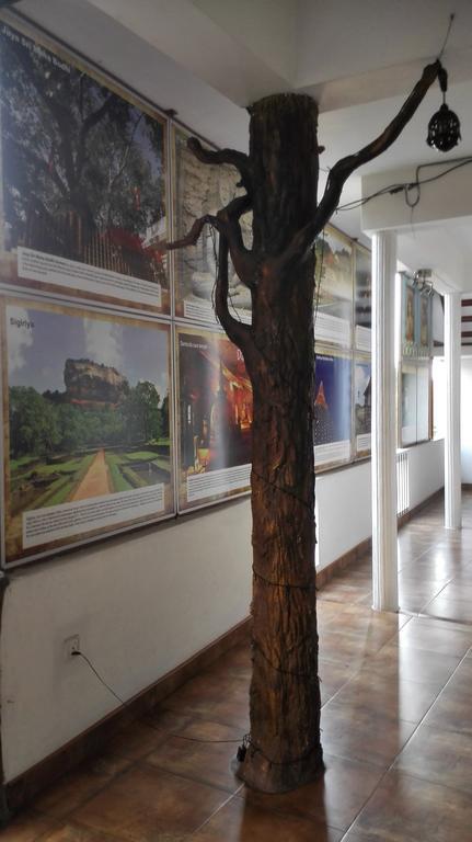Hotel 100 Dehiwala-Mount Lavinia Dış mekan fotoğraf
